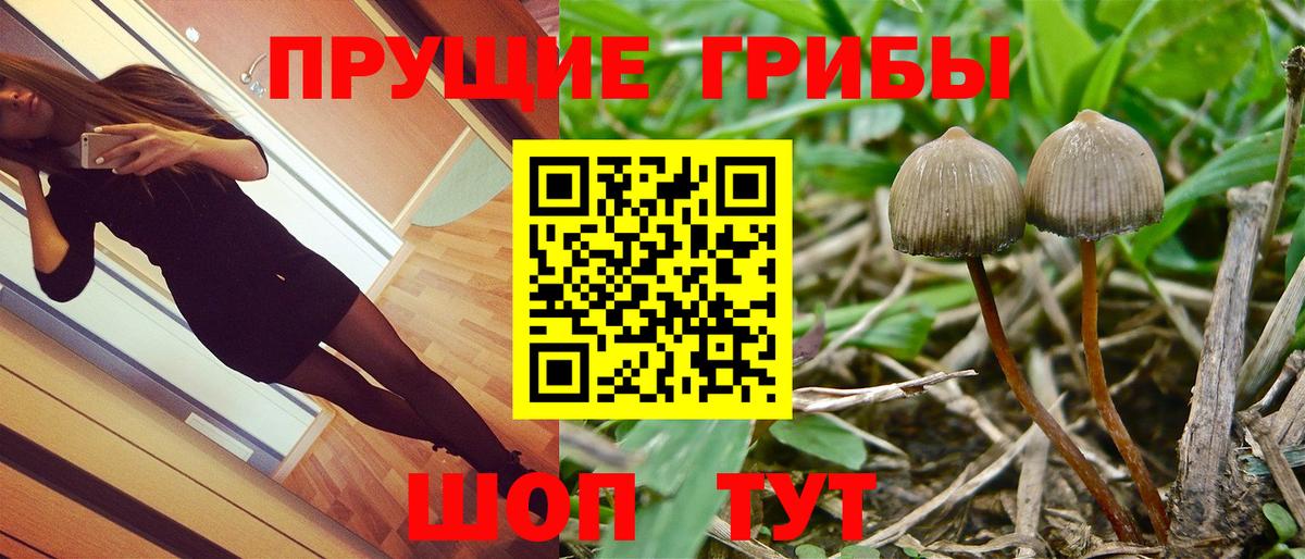 Галлюциногенные грибы GOLDEN TEACHER Тосно