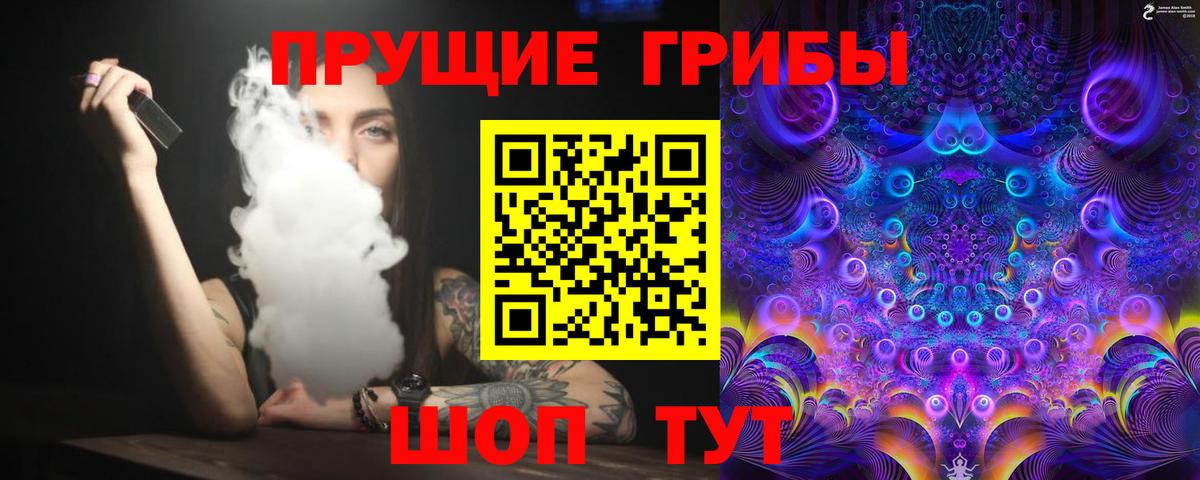 Тосно  Псилоцибиновые грибы Psilocybine cubensis  Вход с VPN 